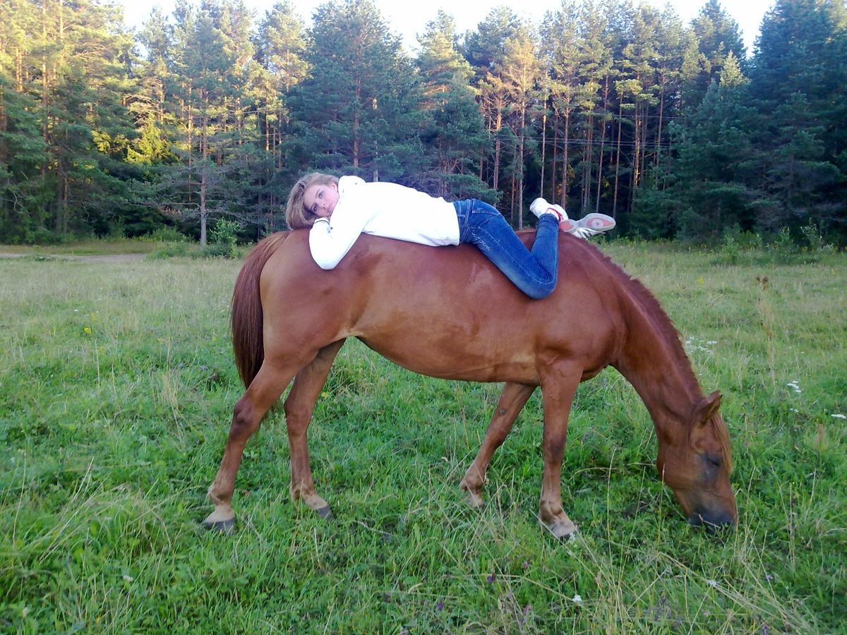 Laying on a Horse Like It’s a Giant, Breathing Mattress.