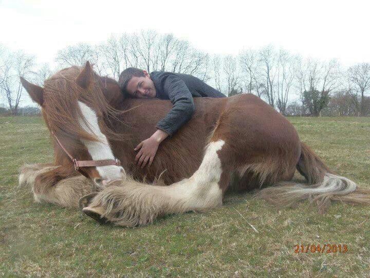 This Hug’s 90% Horse, 100% Love.