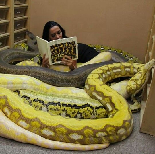 Reading Time With Snakes? Totally Normal.