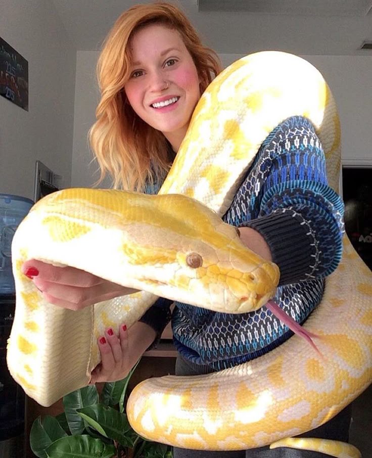 One Huge Yellow Snake. One Chill Lady. Zero Screaming.