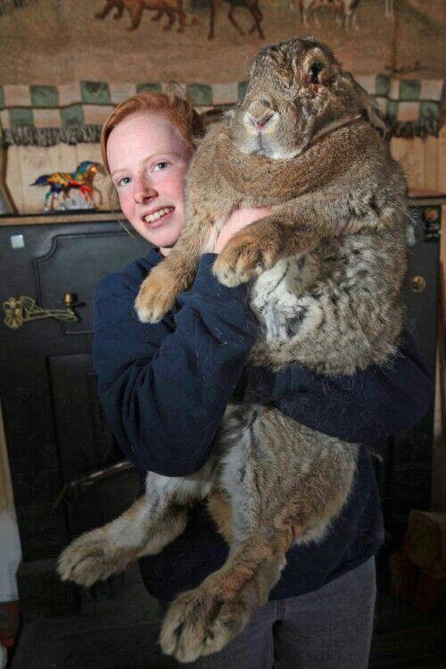 She Carried the Bunny. The Bunny Carried Us.