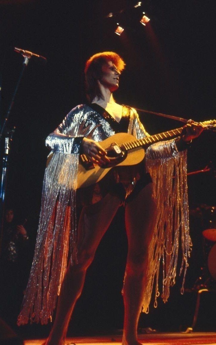 Metallic Marvel With Stripes That Flew Like Wings