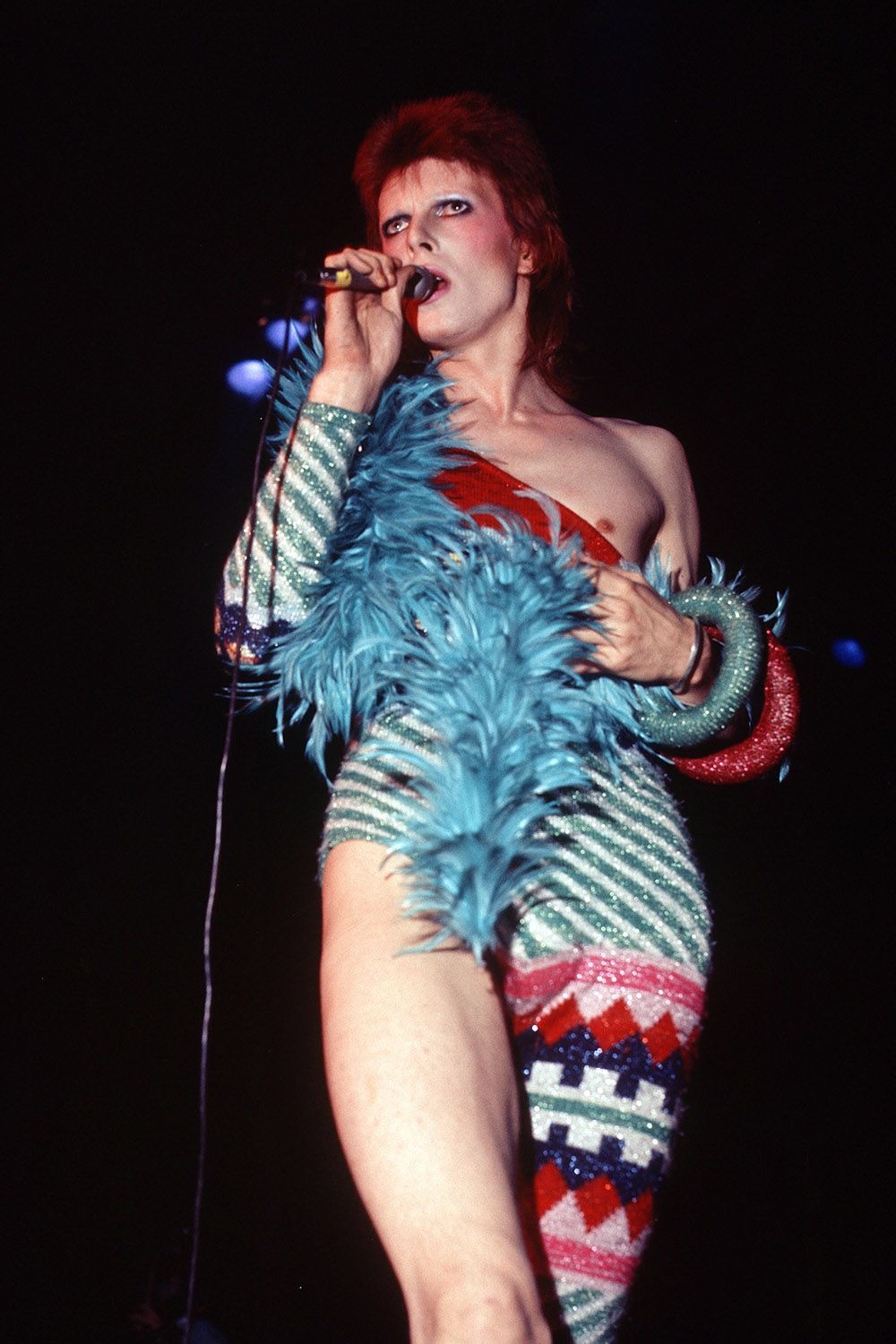 The One-Leg Wonder With a Boa That Bit Back