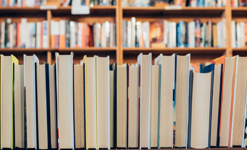 Threw a Book at My Head for Being Too Efficient