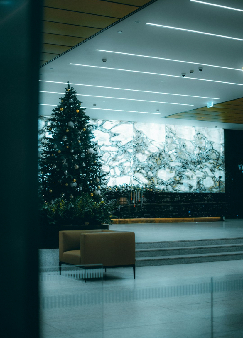 Leaving a Smelly Present Under the Christmas Tree