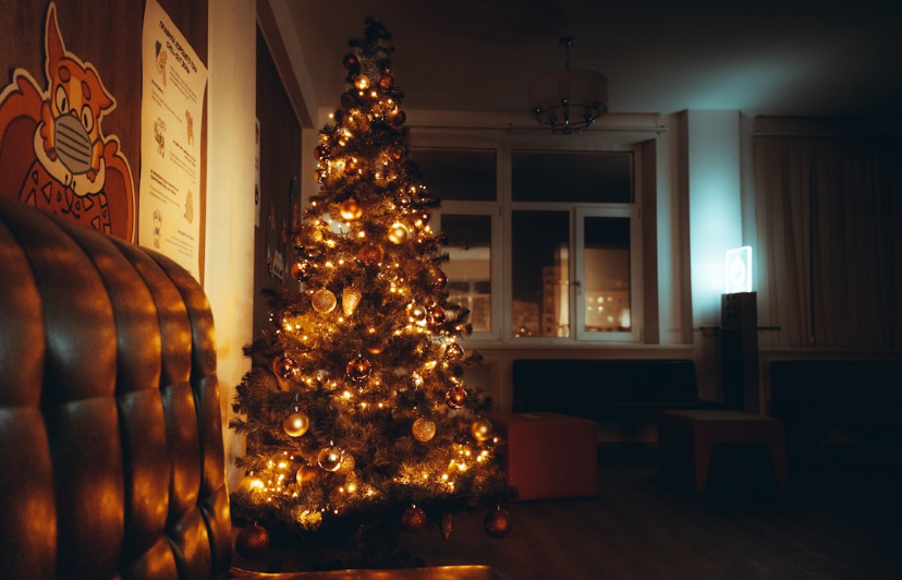 VP Got Drunk, Used the Christmas Tree as a...