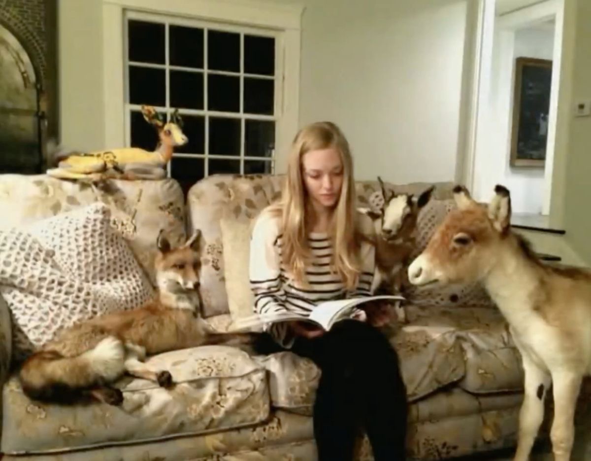 Amanda Seyfried Collects Taxidermy and Talks to Her Stuffed Goat