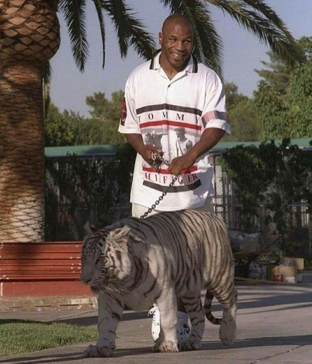 Mike Tyson Owned a White Tiger