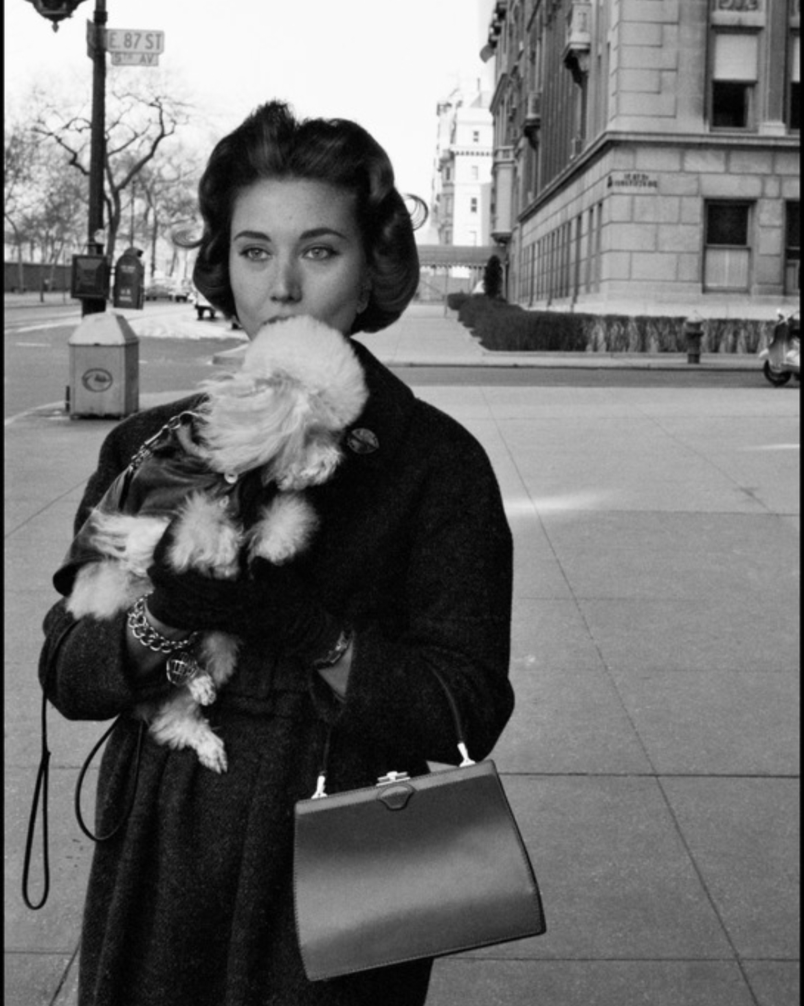 Fifth Avenue, 1958: Glamour Has Four Legs