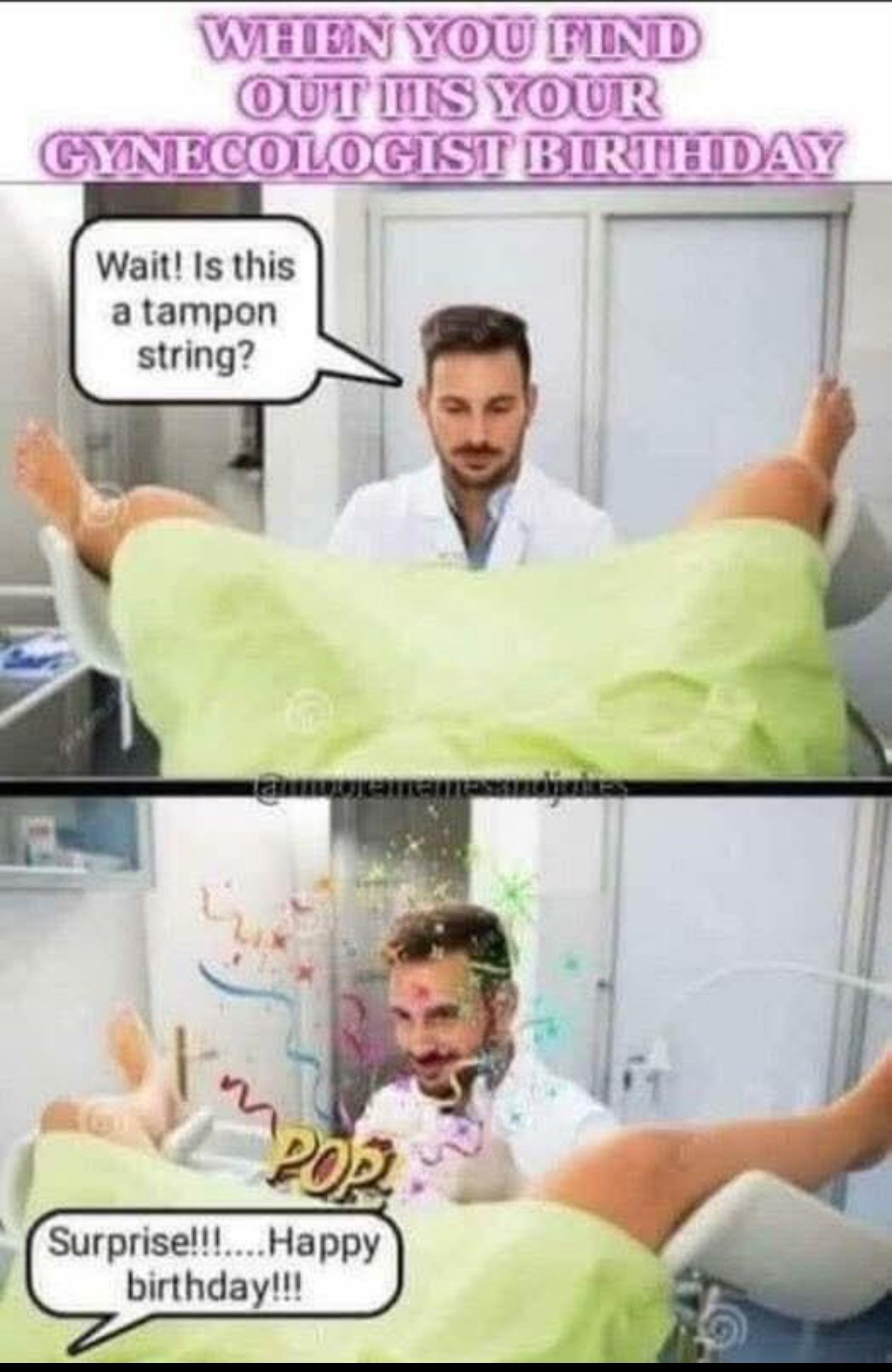 20 NSFW Kitty Memes That Are Serving Main Character Energy