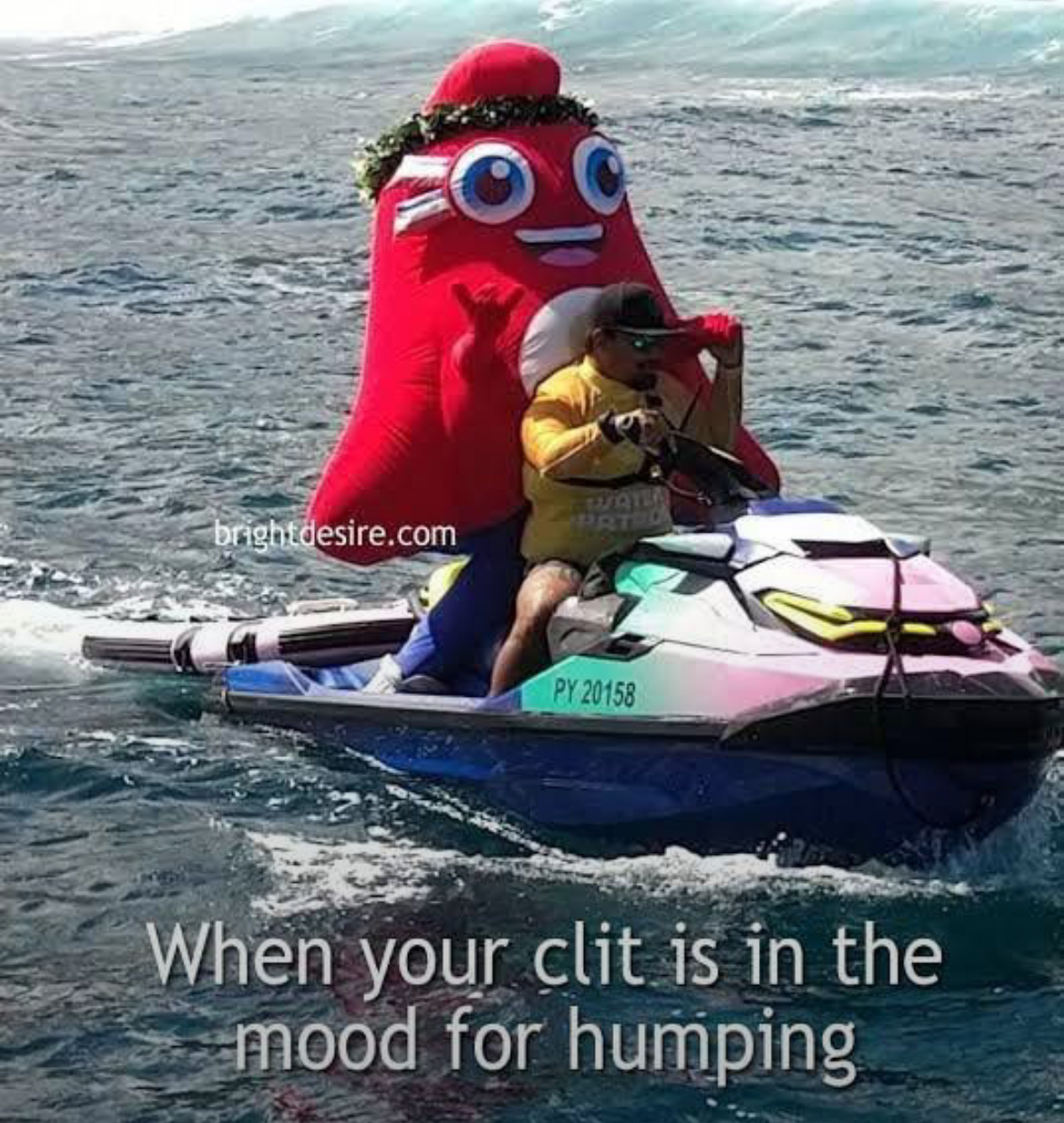 20 NSFW Kitty Memes That Are Serving Main Character Energy