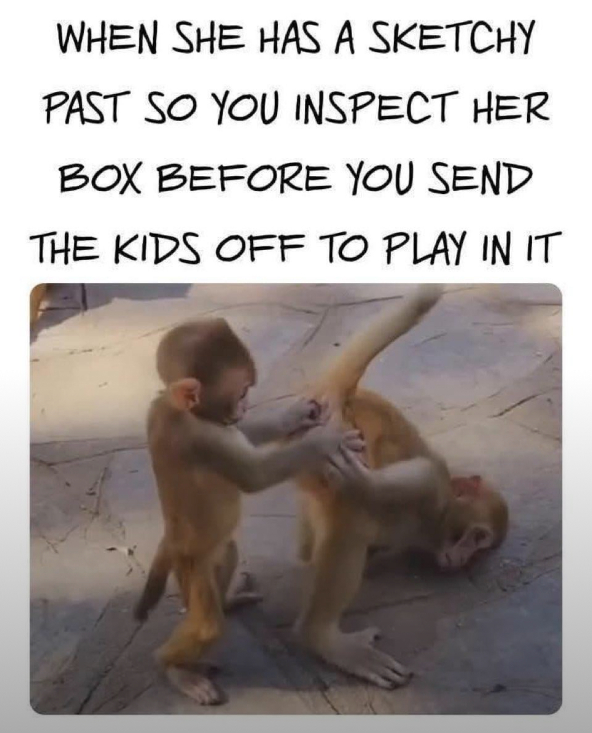 20 NSFW Kitty Memes That Are Serving Main Character Energy