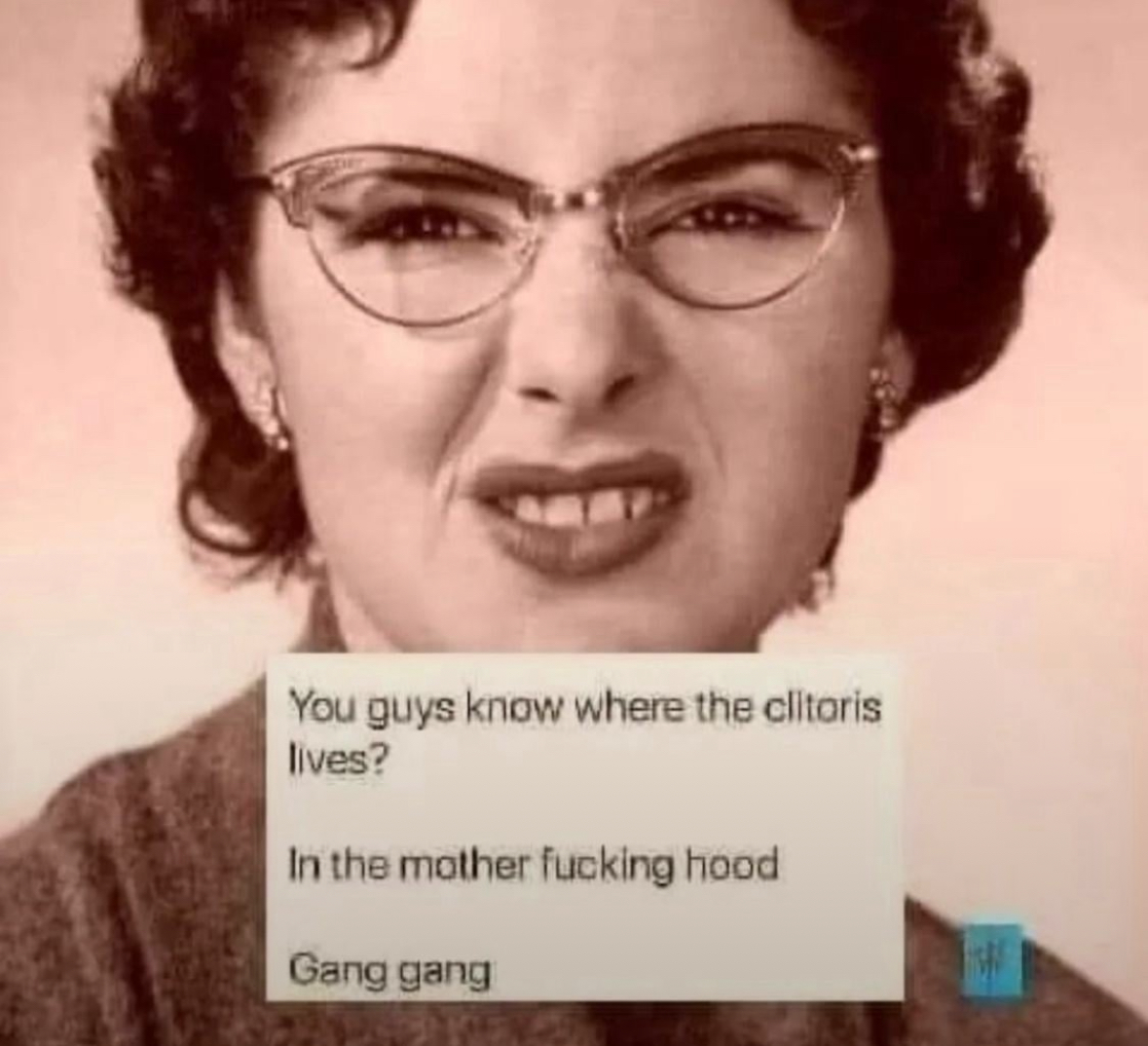 20 NSFW Kitty Memes That Are Serving Main Character Energy