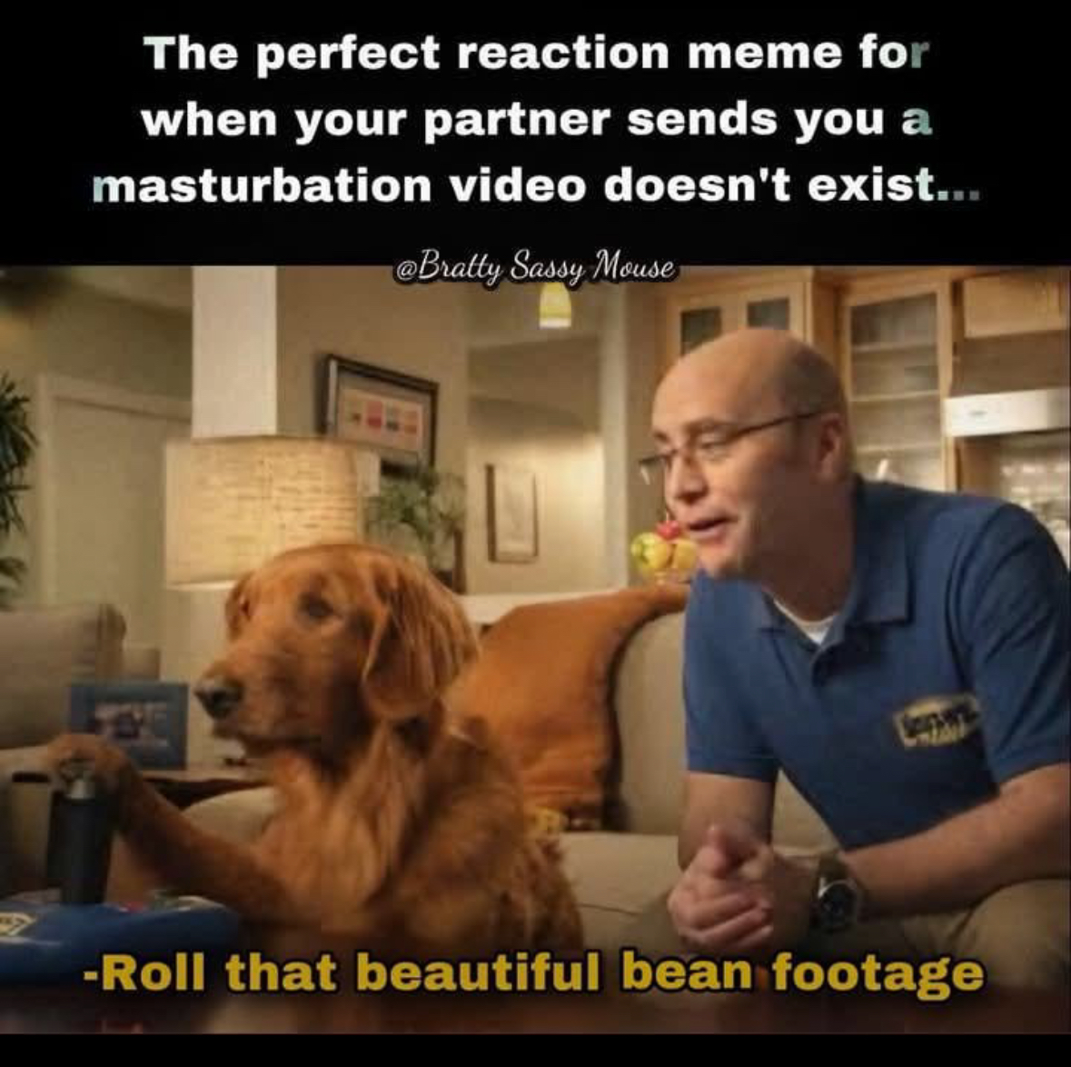 20 NSFW Kitty Memes That Are Serving Main Character Energy