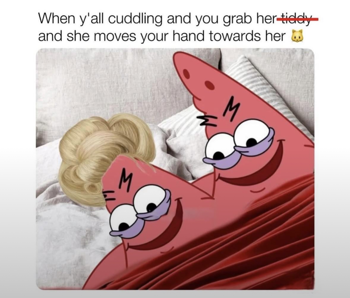 20 NSFW Kitty Memes That Are Serving Main Character Energy