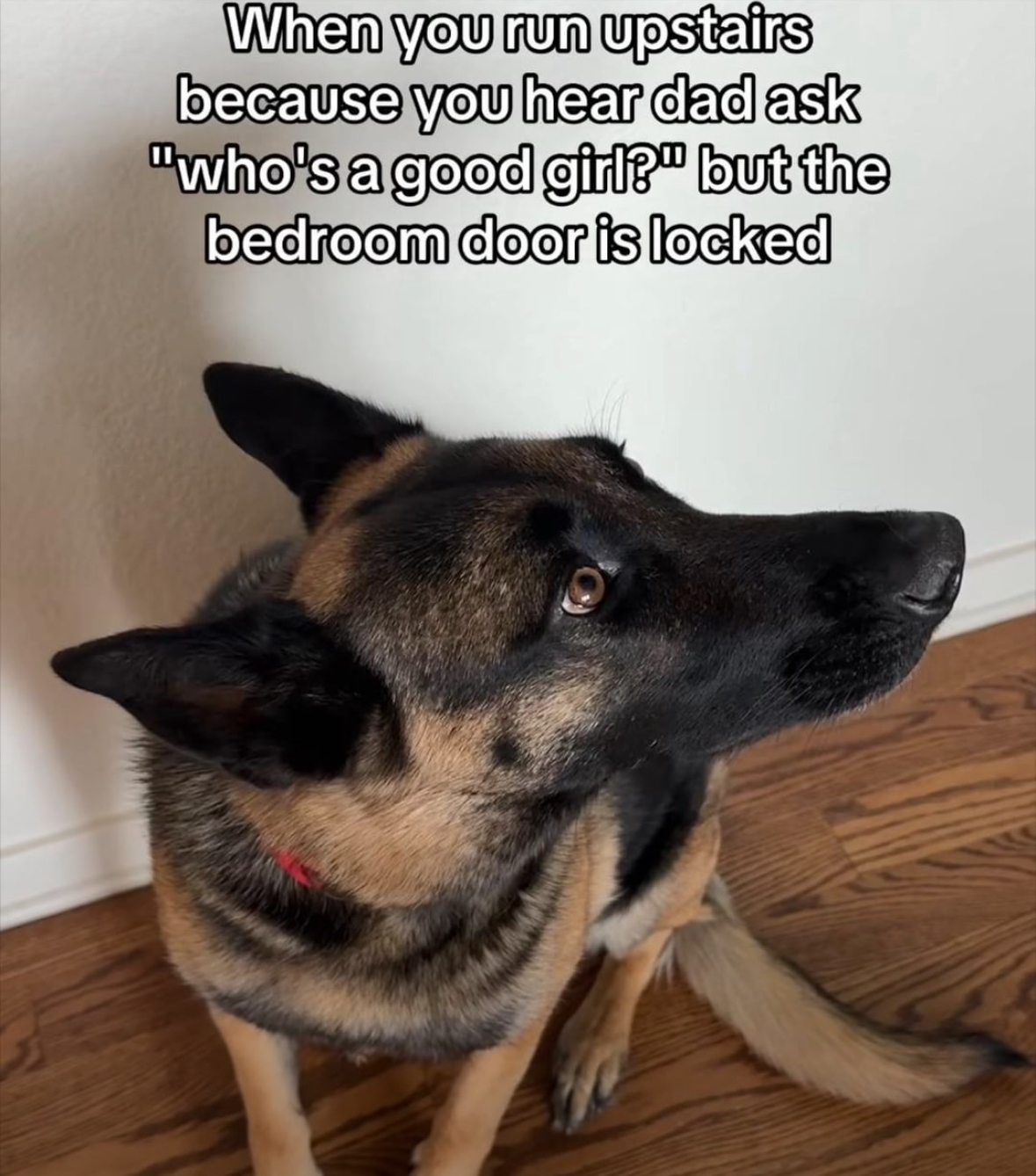 20 Kinky Memes That Will Make You Question Everything You Thought Was Normal