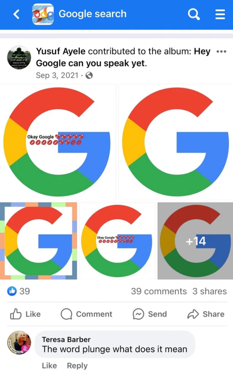 Google Search (The Facebook Group)