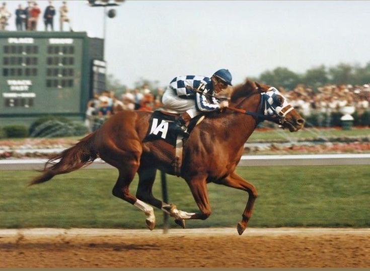 August 1973: Secretariat Wins the Preakness Stakes