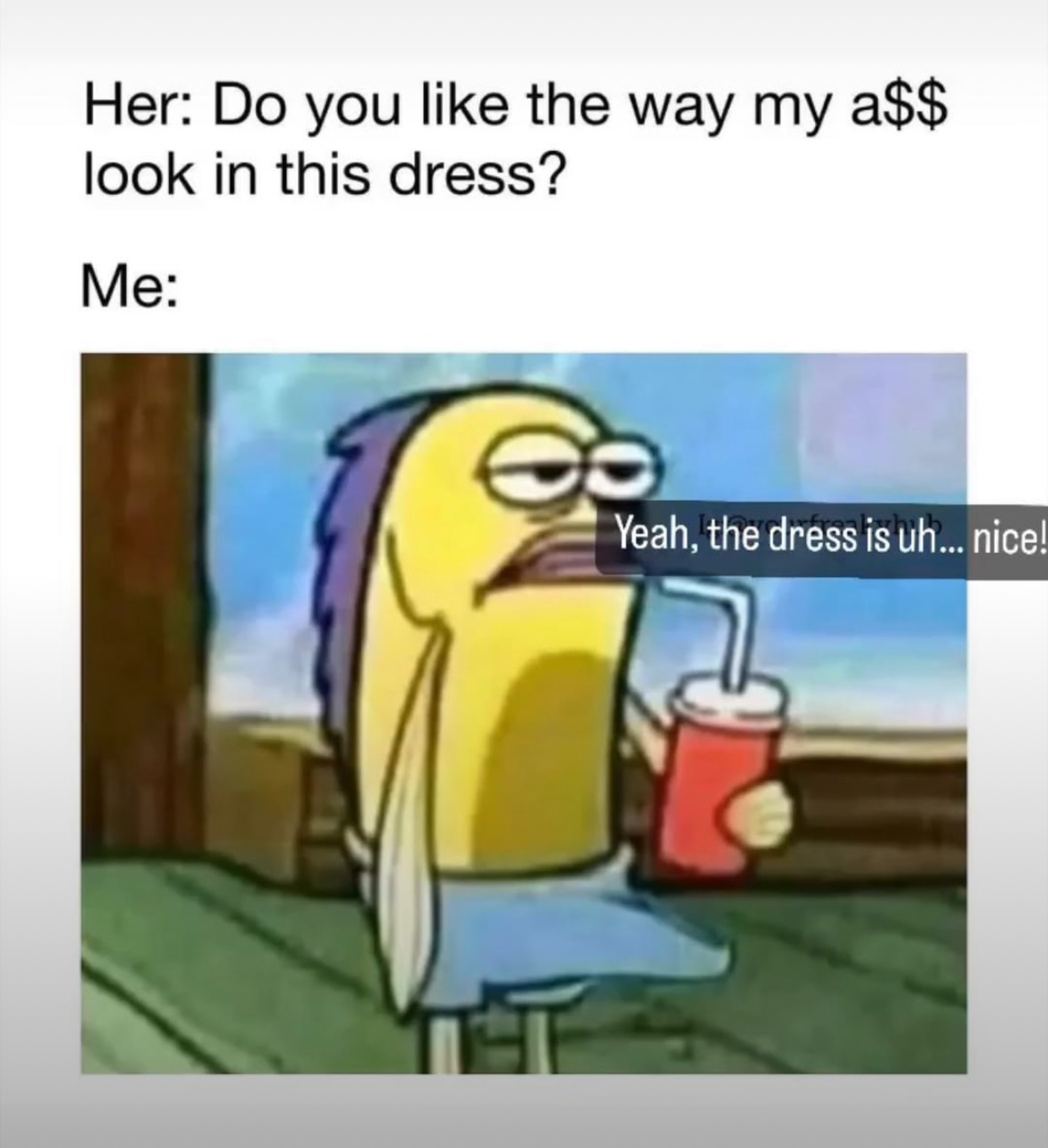 20 NSFW Dick Memes That Have No Sense of Decency