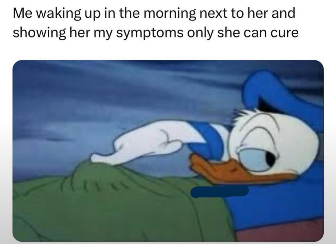 20 NSFW Dick Memes That Have No Sense of Decency