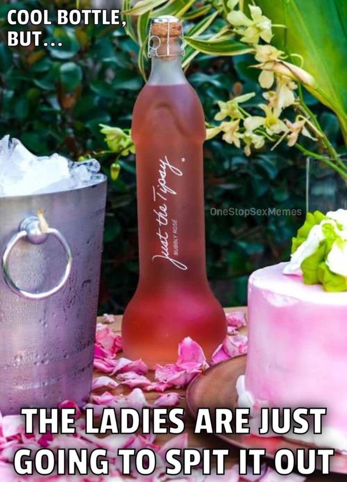 20 NSFW Dick Memes That Have No Sense of Decency