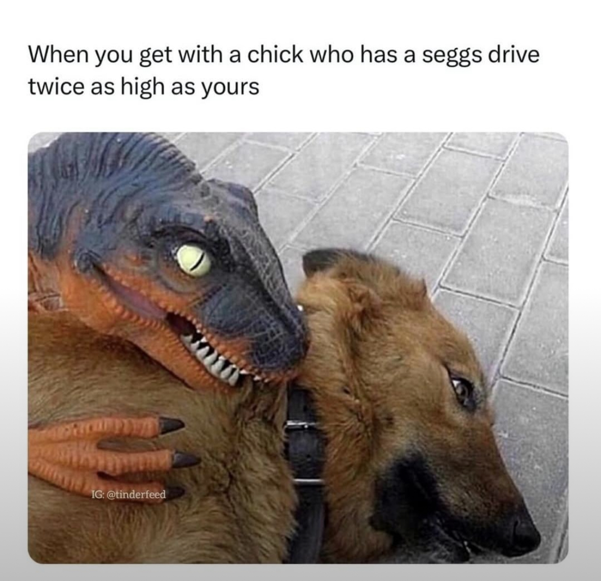 20 Spicy Memes That Hit Harder Than a Late-Night Drunk Text