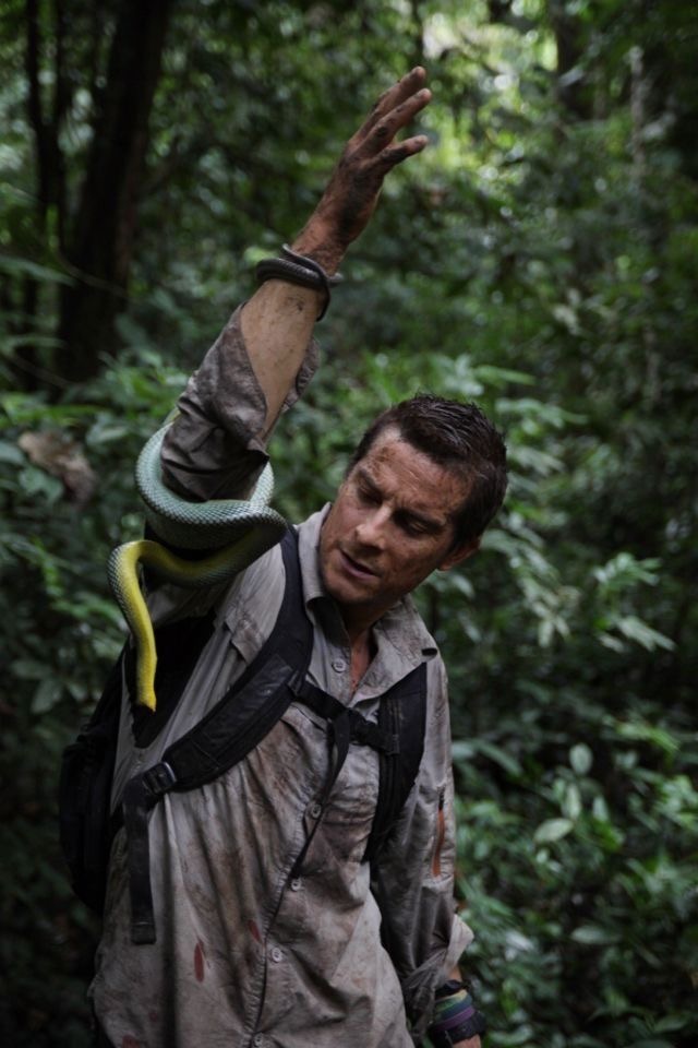 Bear Grylls