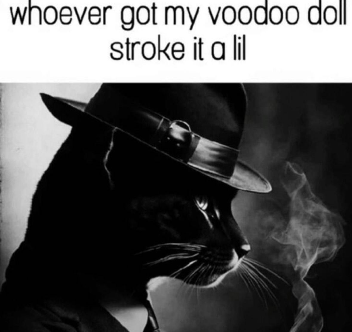 20 NSFW Memes That Feel Like Eye Contact in a Dark Bar