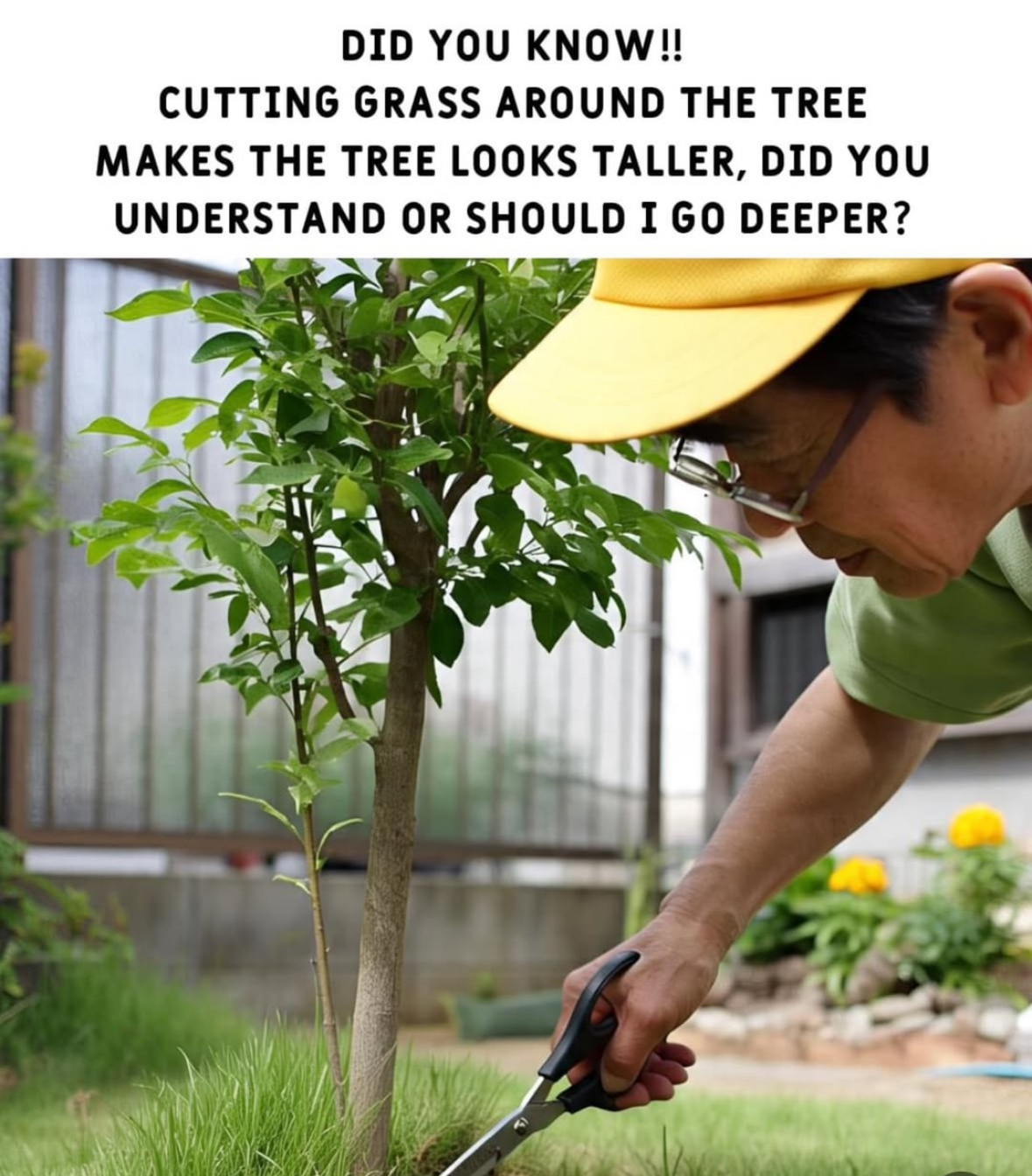 20 NSFW Memes That Feel Like Eye Contact in a Dark Bar