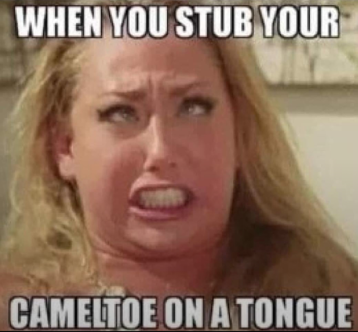 20 NSFW Memes That Feel Like Eye Contact in a Dark Bar