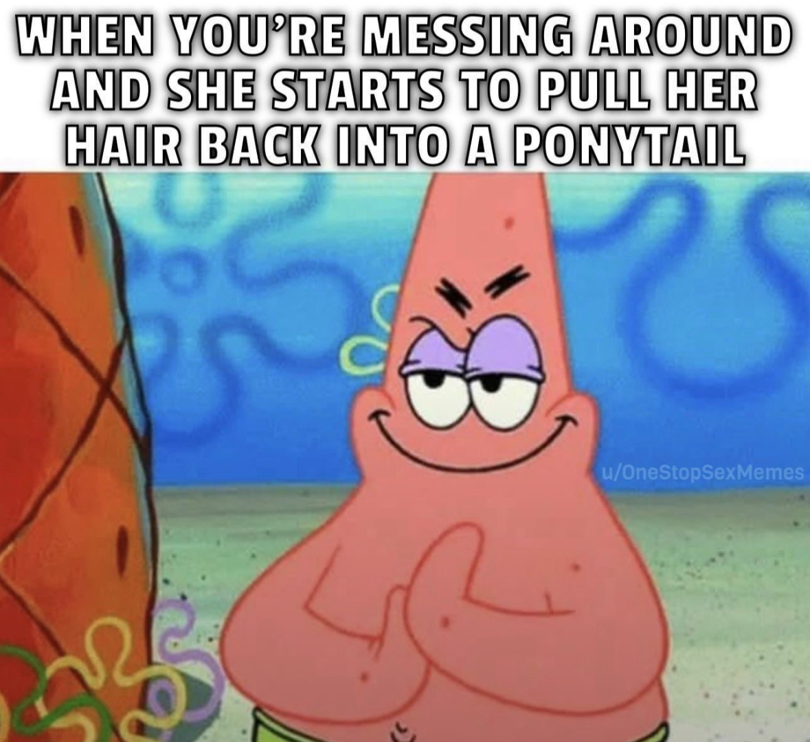 20 NSFW Memes That Feel Like Eye Contact in a Dark Bar