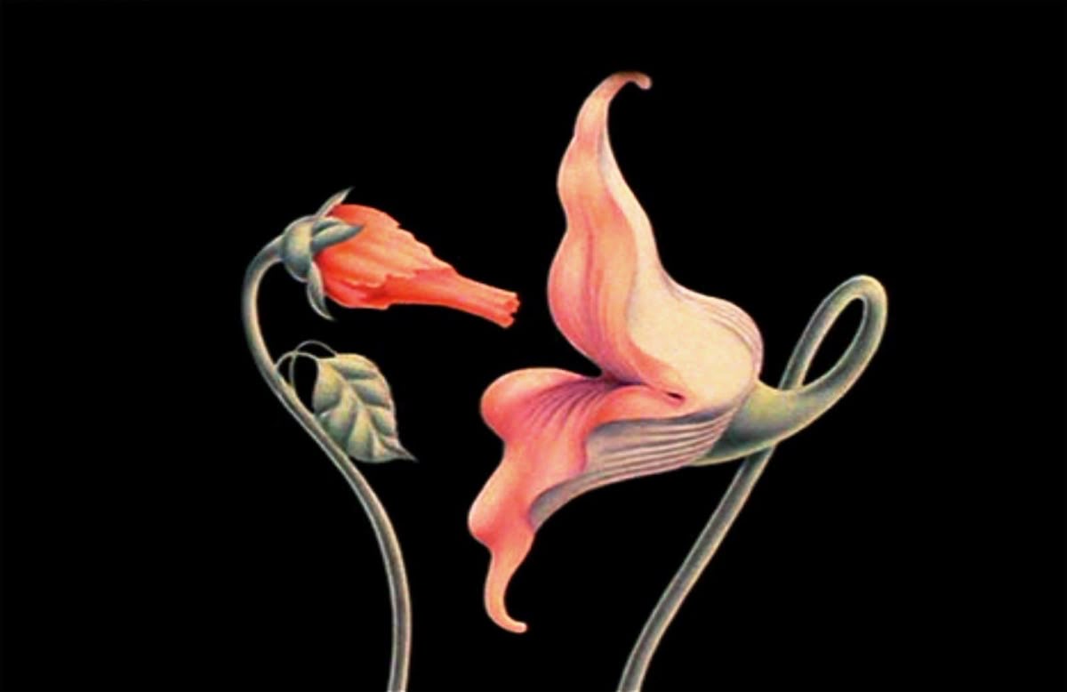 Pink Floyd – "Empty Spaces"