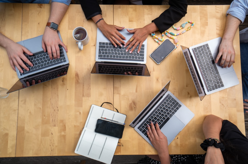 Deleted the Entire Manual. 