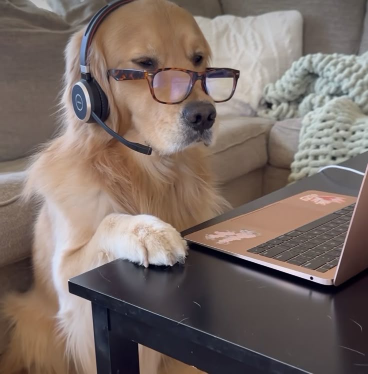 Forgot to Mute. Cursed Out Manager. Everyone Heard.