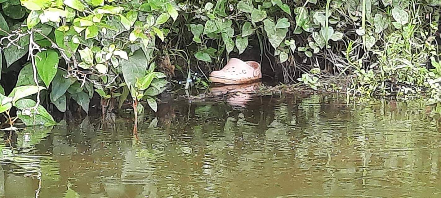 The dangerous Croc waiting to strike at unsuspecting victims.
