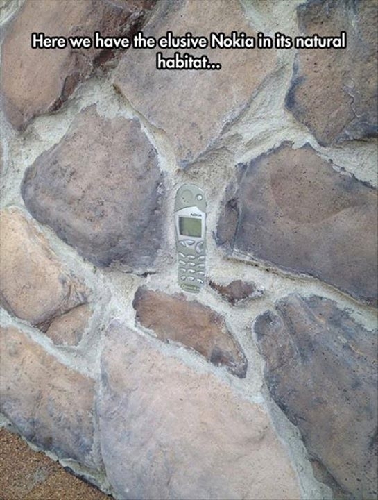 Here we see an indestructible Nokia, doing what it was born to do, being fossilized in stone.