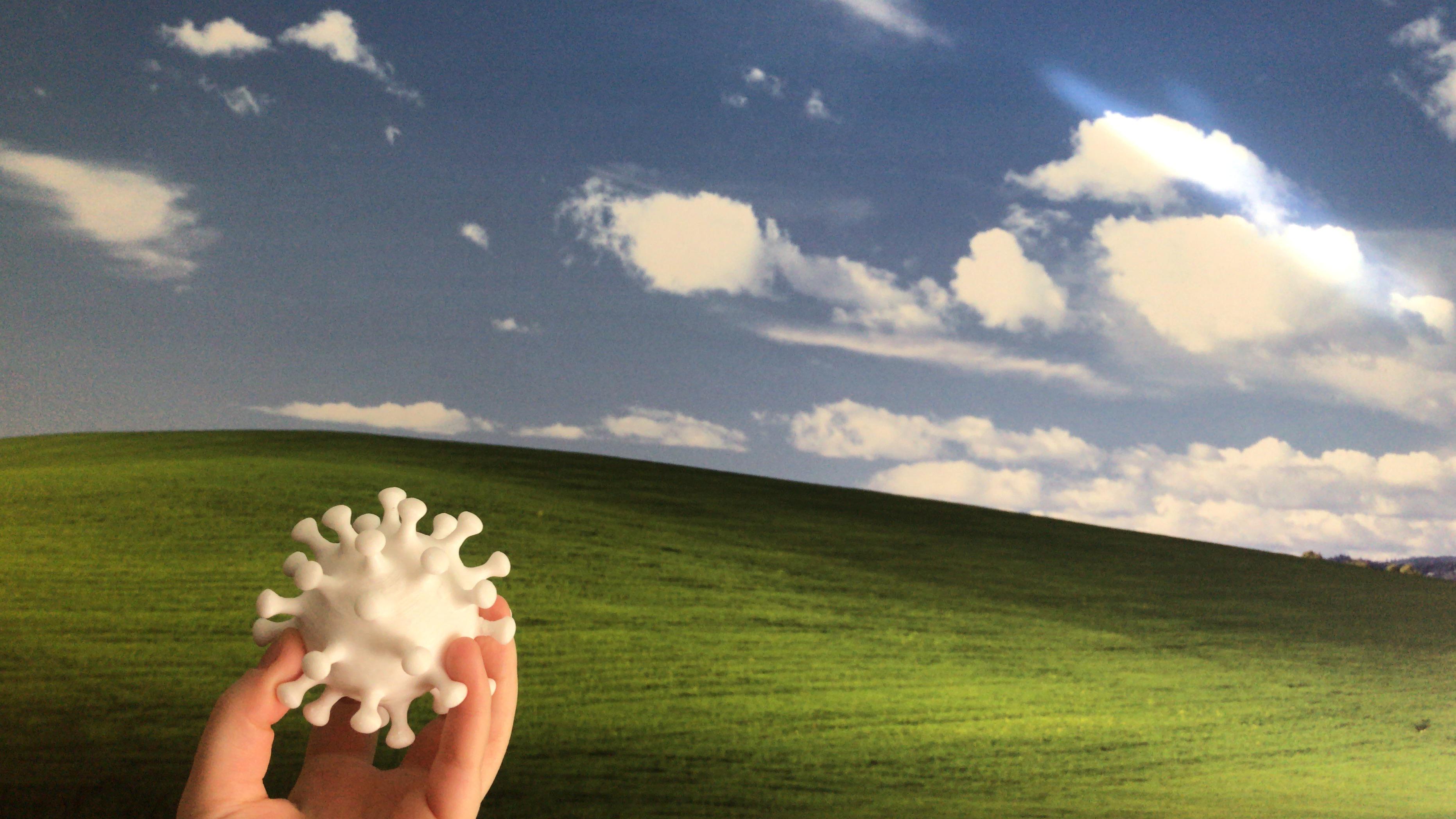 A virus released back into its native space: Windows XP.