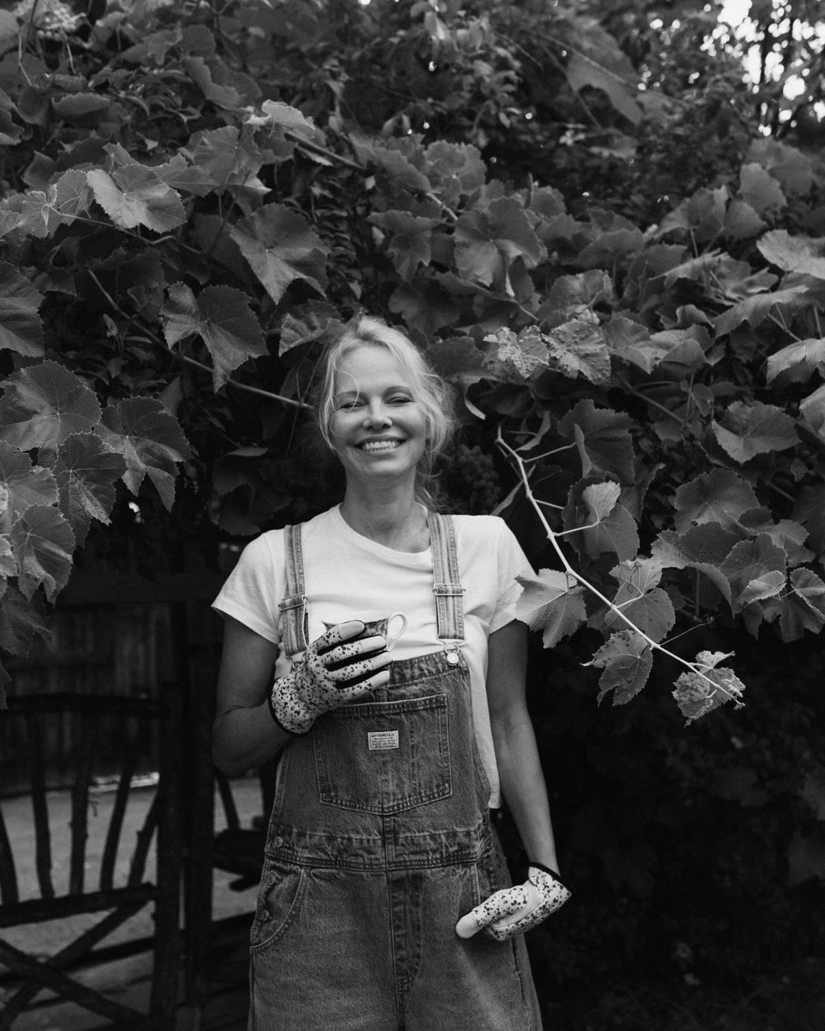 The Wild Ride Continues