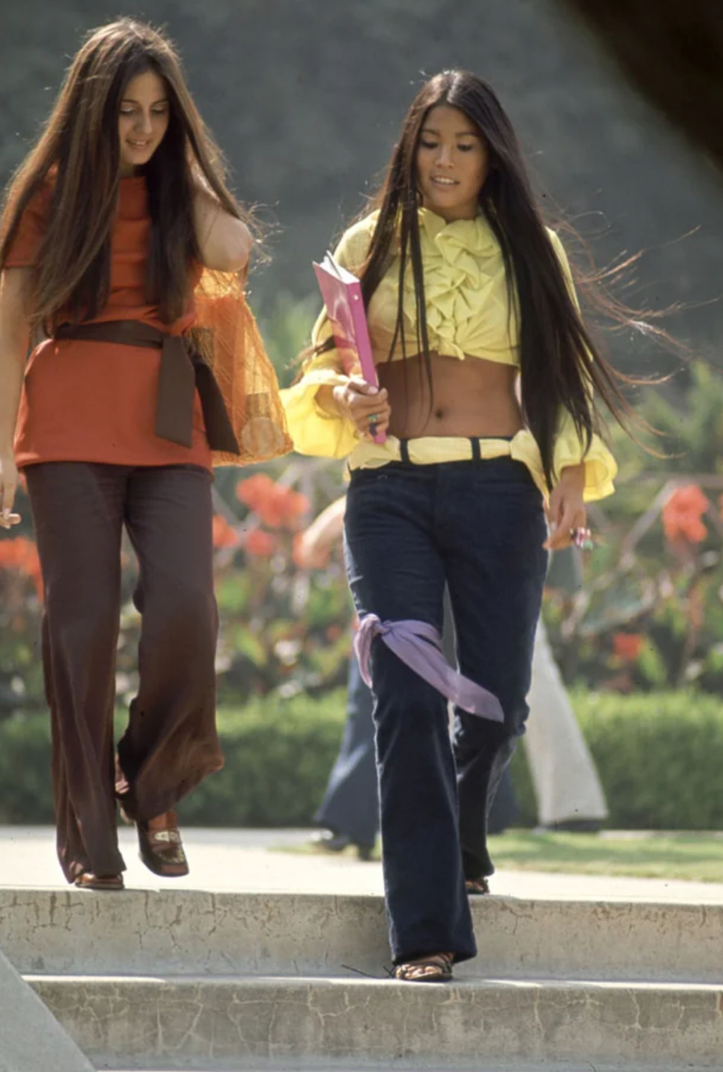 Straight Hair, Crooked Rules