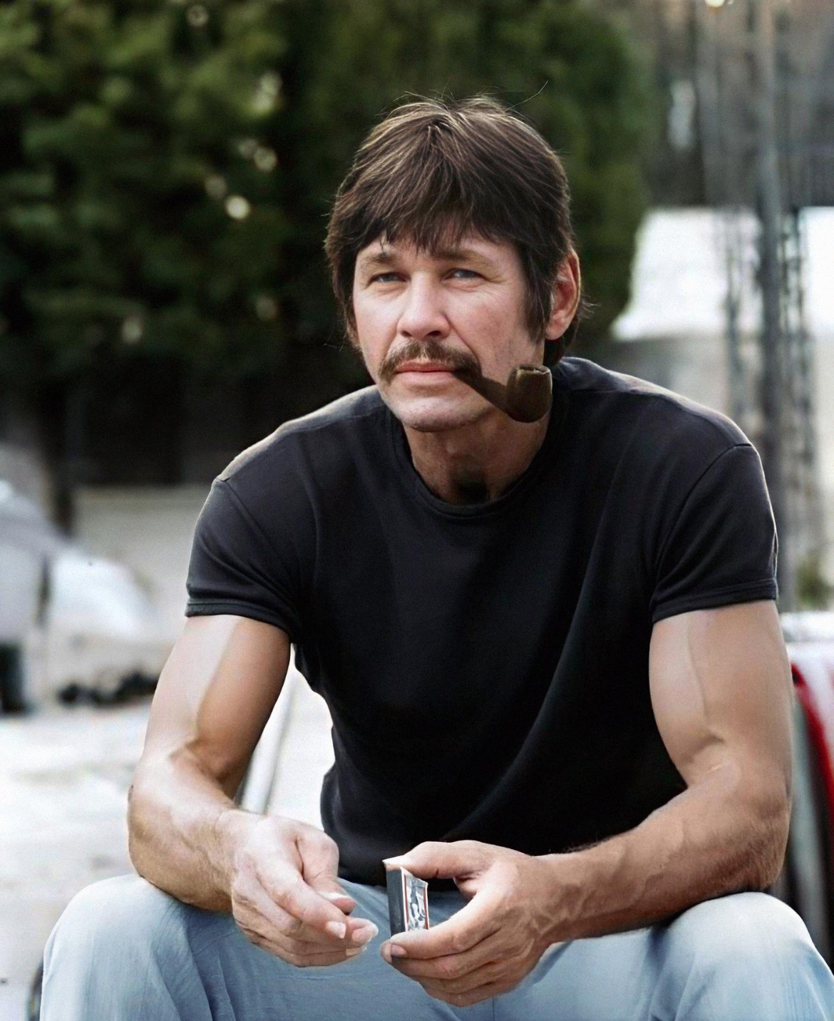 Bronson: Beard, Biceps, Badass