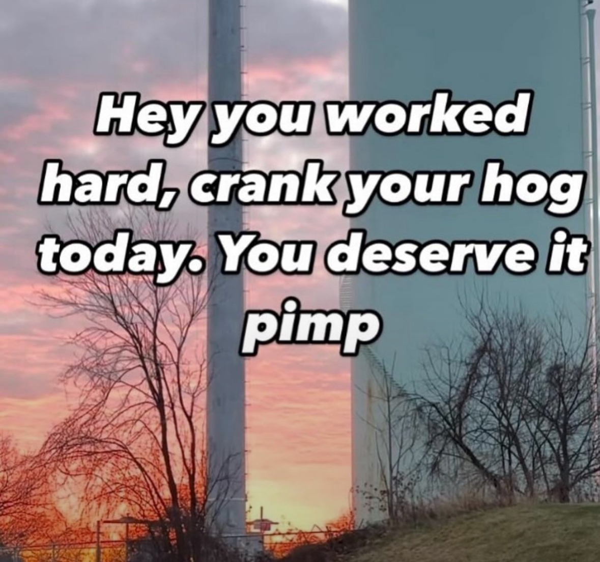 20 NSFW Memes Hotter Than Whatever's Cooking in Your DMs