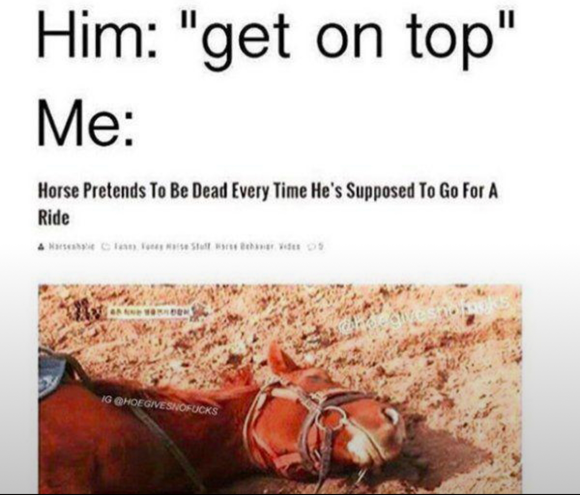 20 NSFW Memes Hotter Than Whatever's Cooking in Your DMs