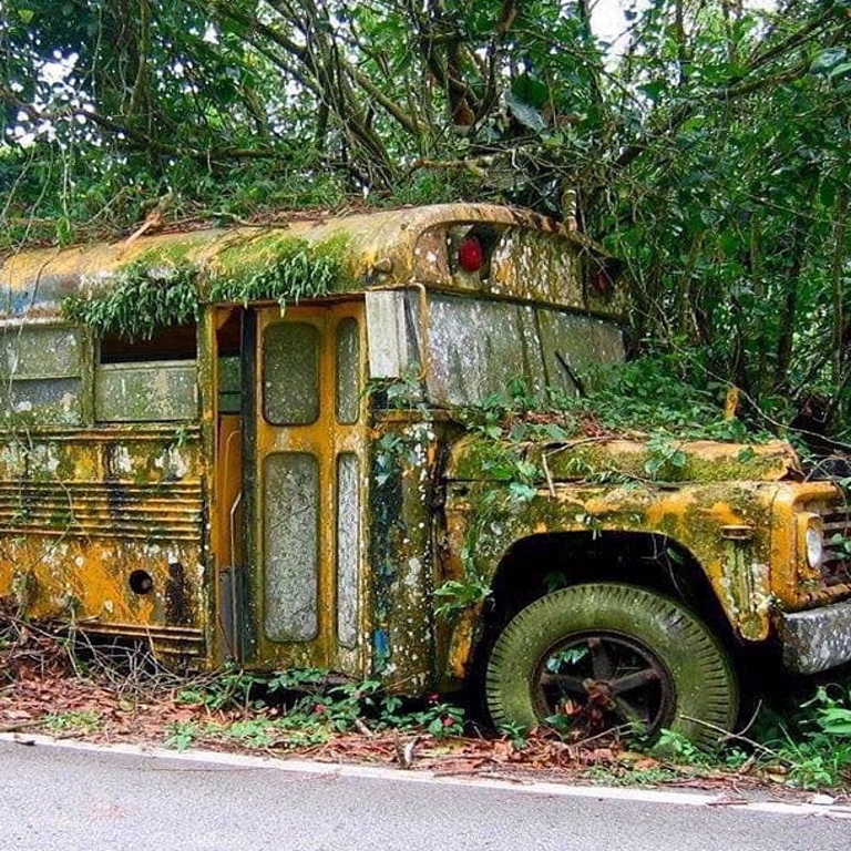 Next stop: Jungle Station.