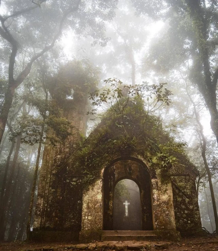 A chapel with trees that whisper sermons.