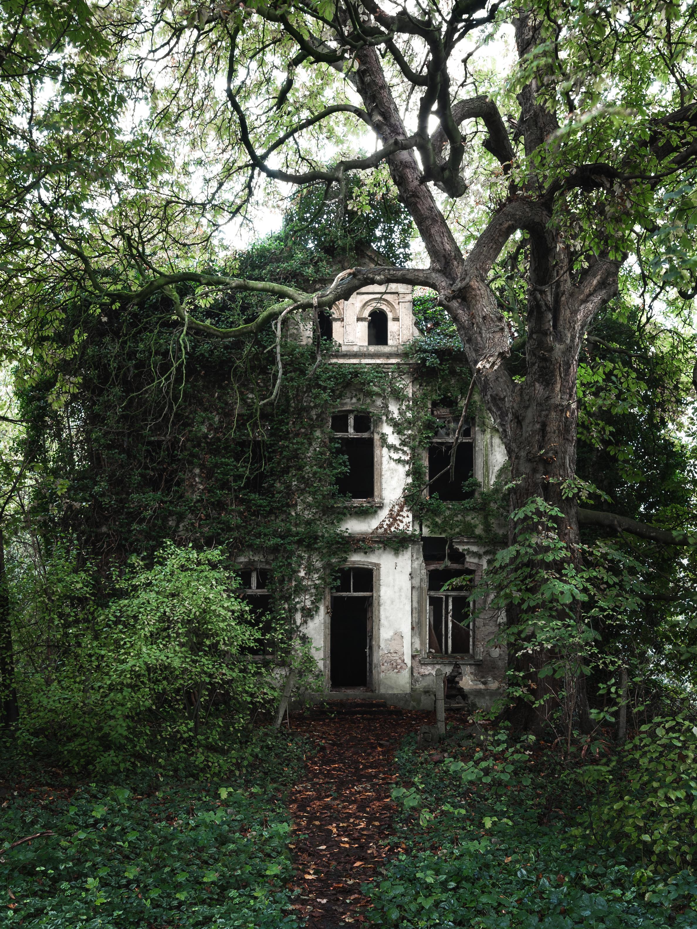 House has checked out of the human world.