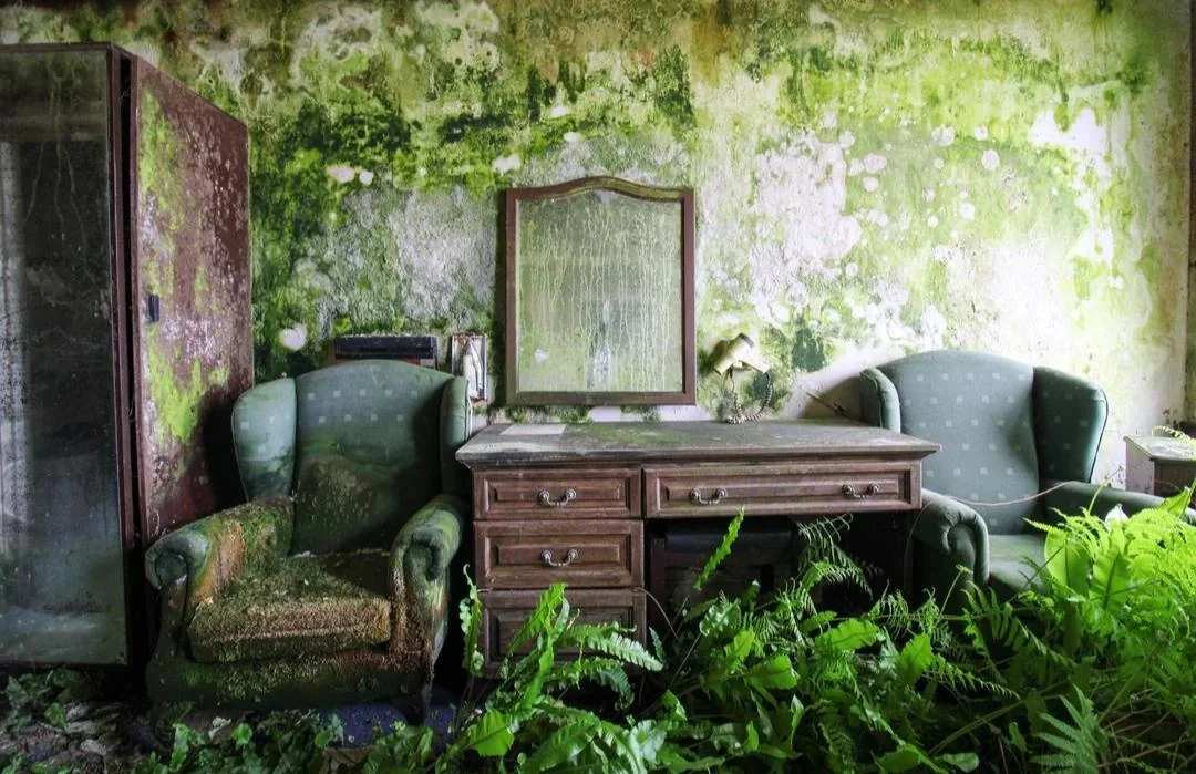 Who needs wallpaper like this?