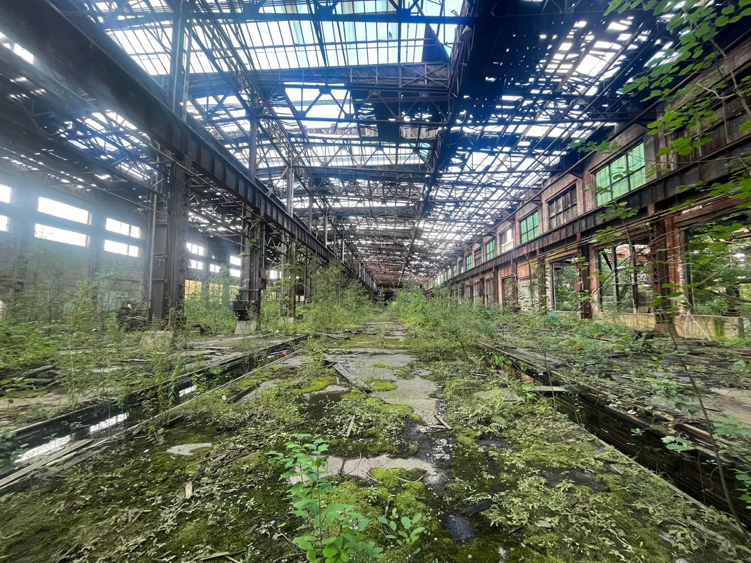 Industry fell silent, and the forest answered.