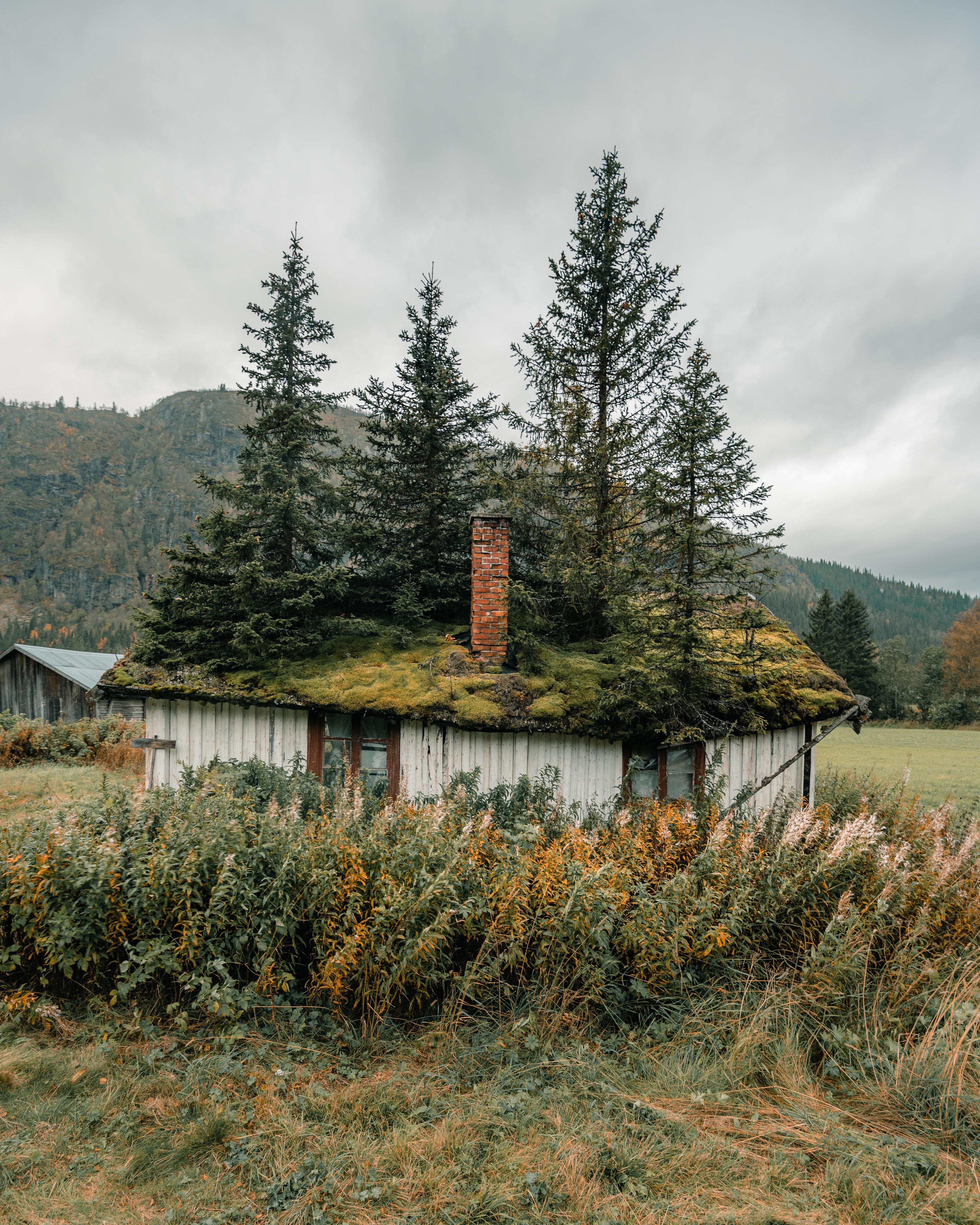 Rooftop garden at its best.