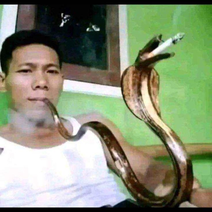 Just a light snake cig.