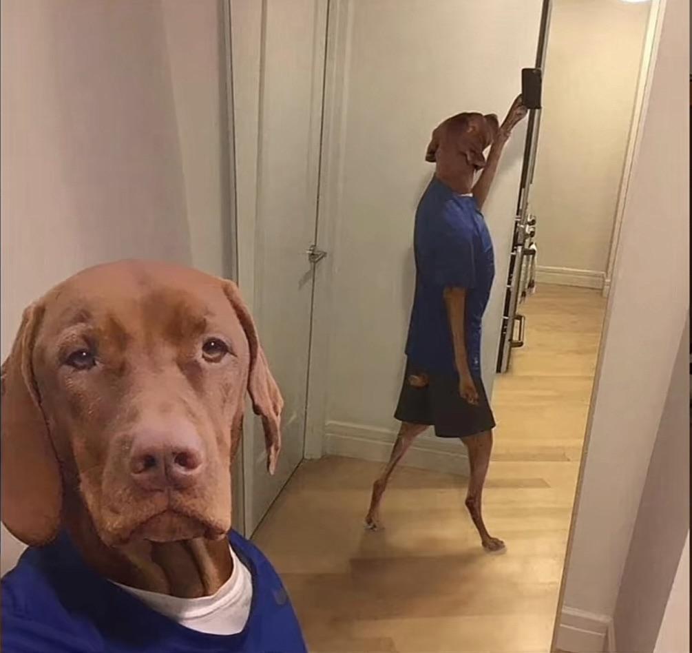 Confidence unmatched.